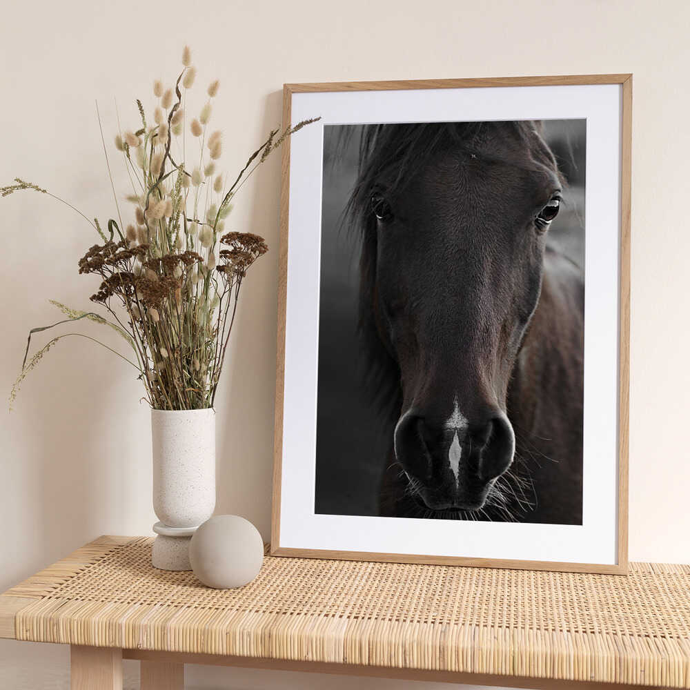 Dark Horse - Art Print by Monika Strigel