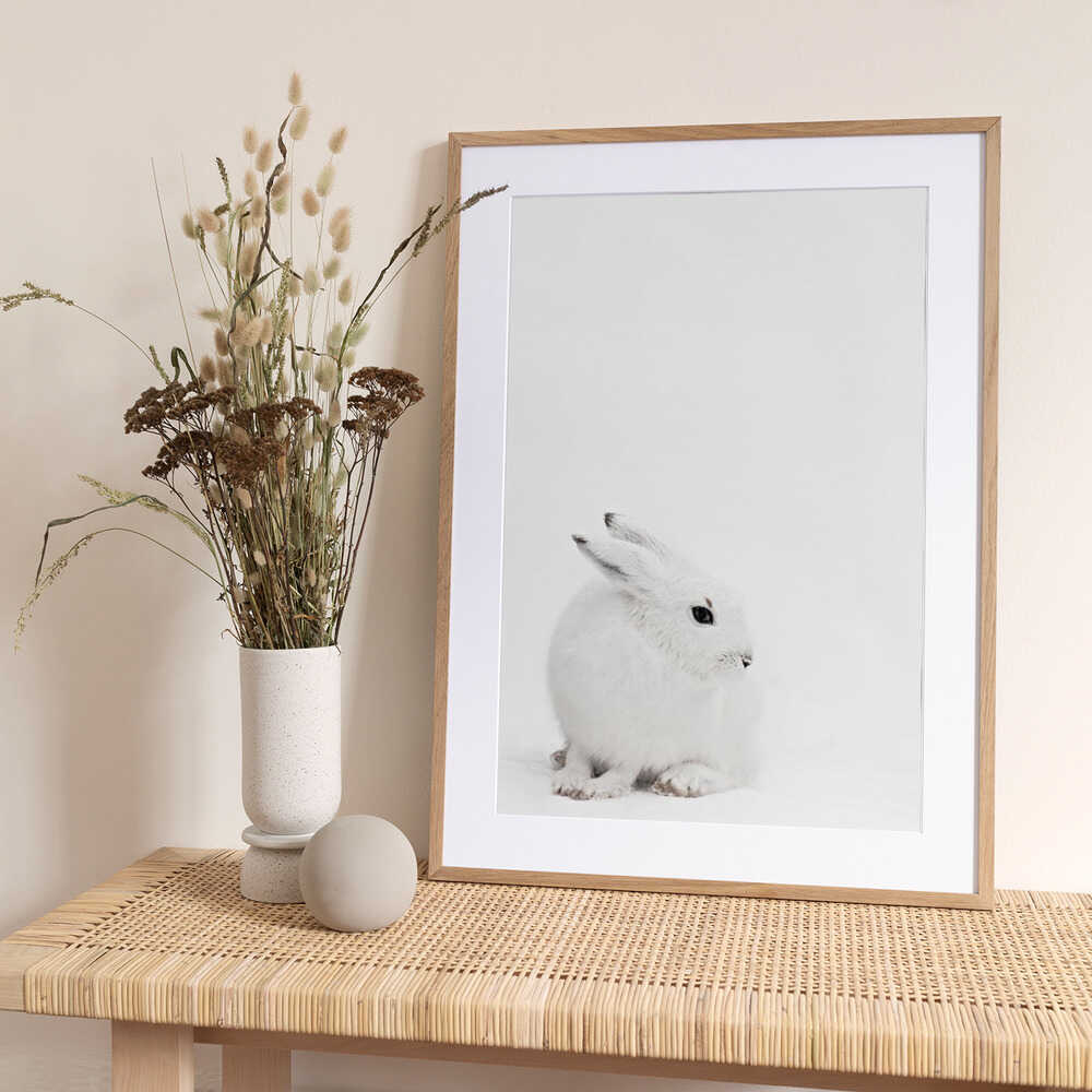 Arctic Hare - Art Print by Monika Strigel