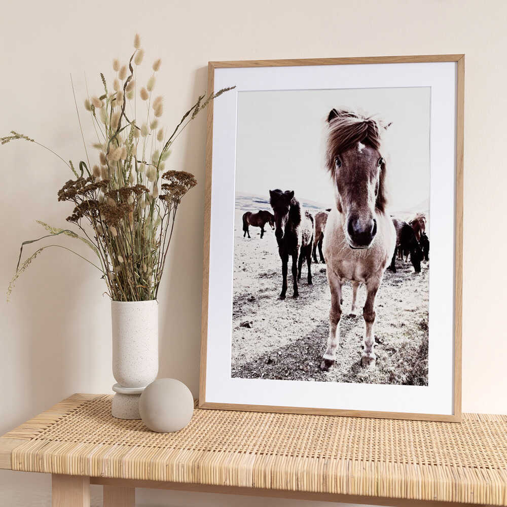 Iceland Horse Rikka - Art Print by Monika Strigel