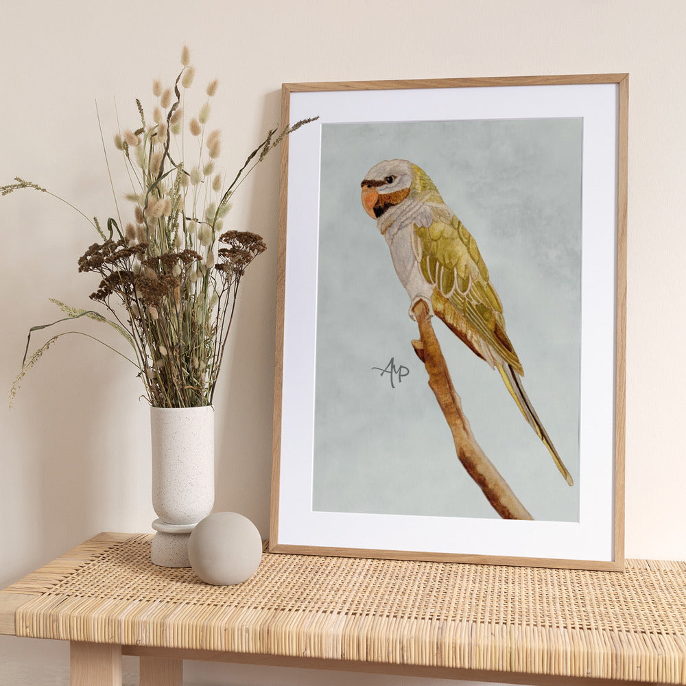 Derbyan Parakeet - Art Print by Angeles M. Pomata