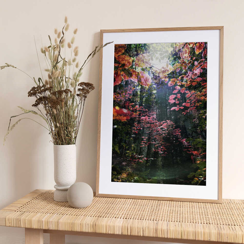 Enchanted - Art Print by Angelo Cerantola