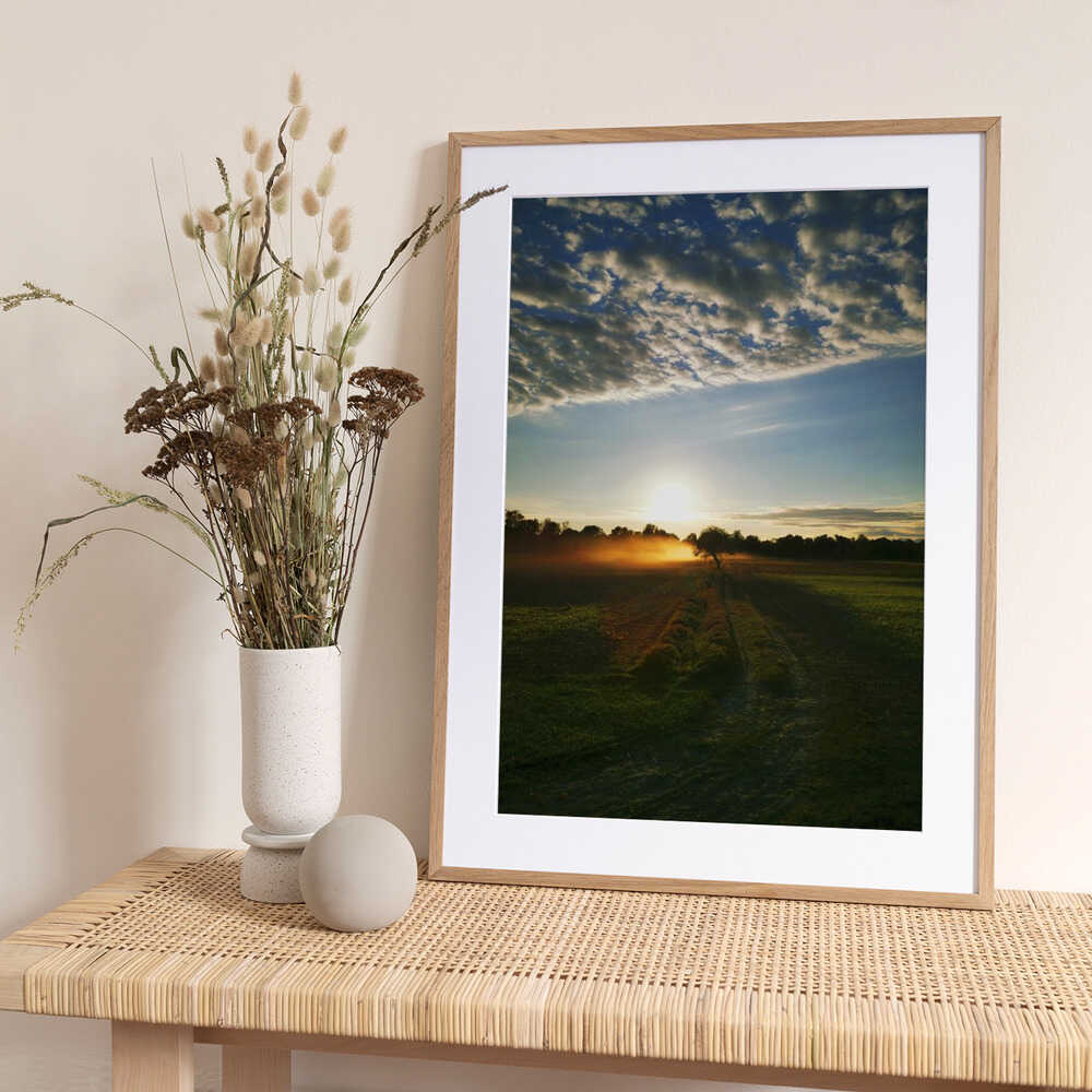 Sheep Dust - Art Print by Angelo Cerantola