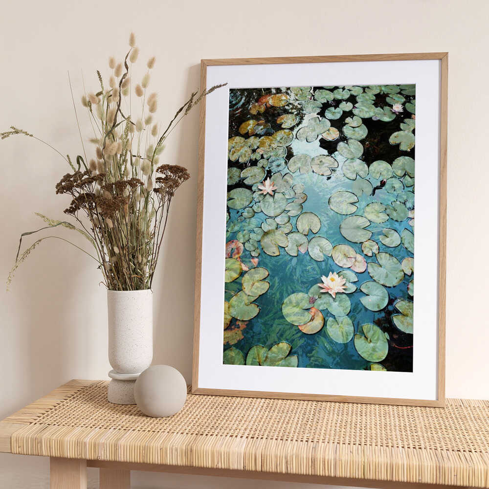 Waterlilies - Art Print by Angelo Cerantola
