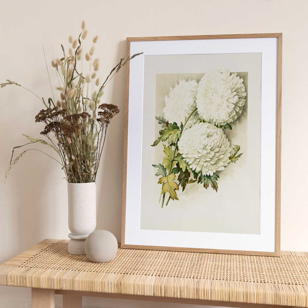 Chrysanthemums for Christmas Eve - Art Print by Sidney Thomas Callowhill