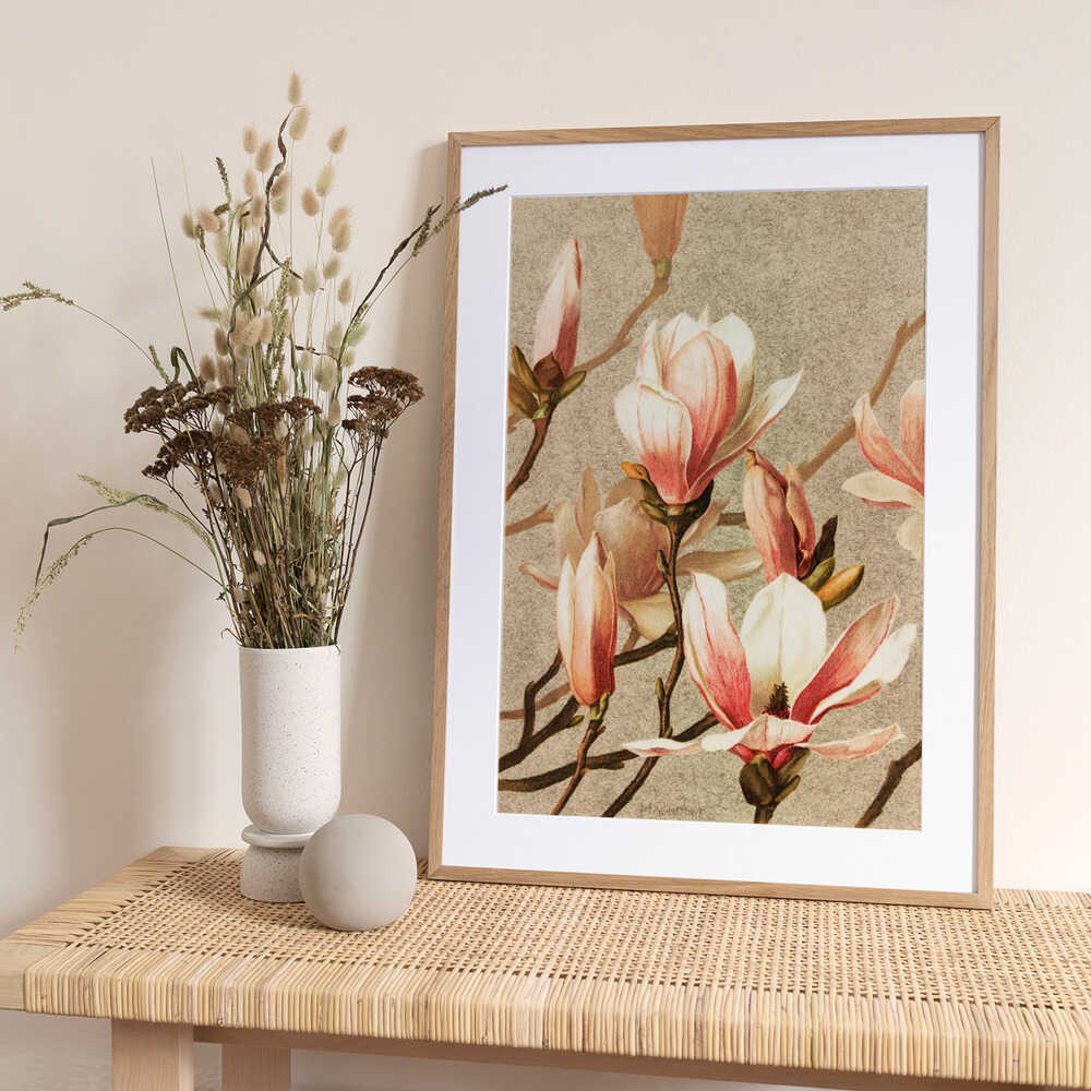 Magnolia - Art Print by Ellen Thayer Fisher