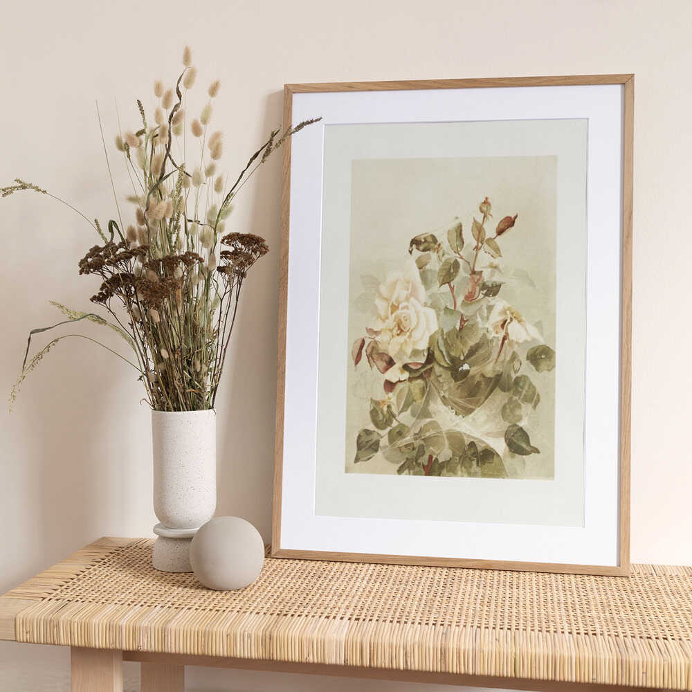 Pink Roses Seen Through Early Morning Dew - Art Print by Ellen Thayer Fisher