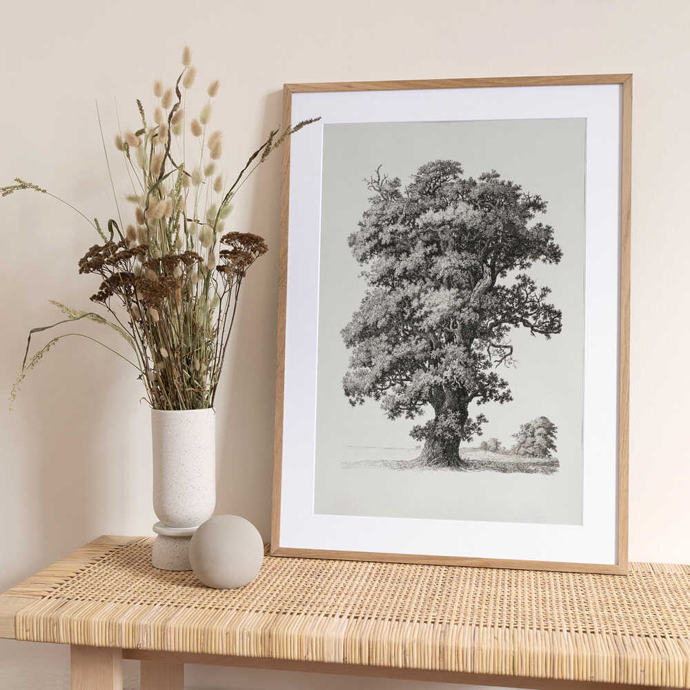 Tree studies After Nature With Regard To Landscape Drawing - Art Print by S.h. Petersen