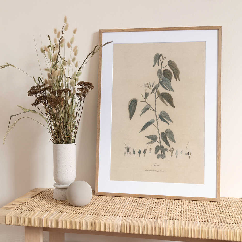 Farek 1789 - Art Print by James Heath