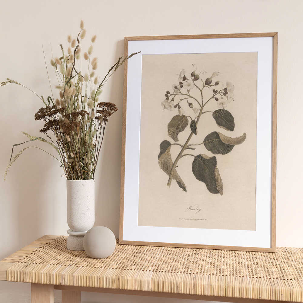 Wanzey - Art Print by James Heath
