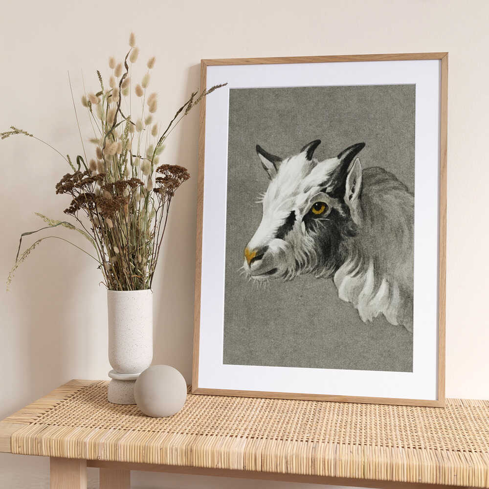 Head of a Goat Portrait Mode - Art Print by Jean Bernard