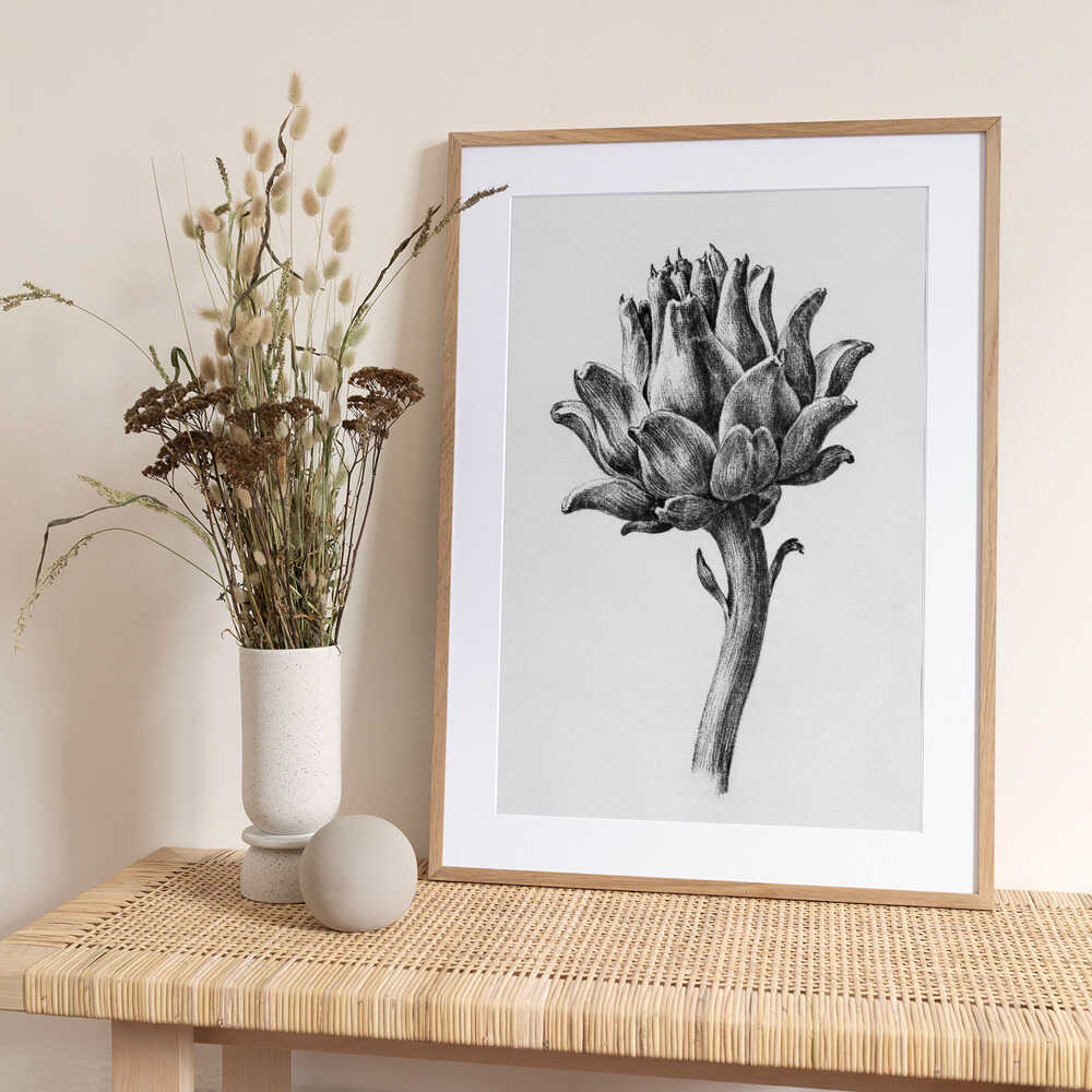 Artichoke By Jean Bernard - Art Print by Jean Bernard