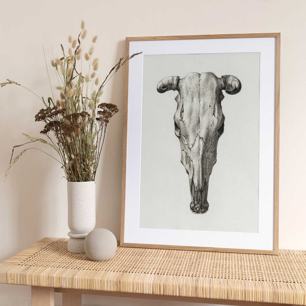 Skull of a Cow Front  View(1816) - Art Print by Jean Bernard