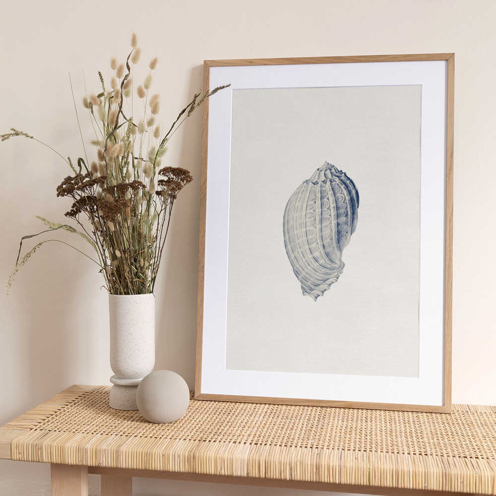 Intricate Blue Seashell - Art Print by Wild Violets