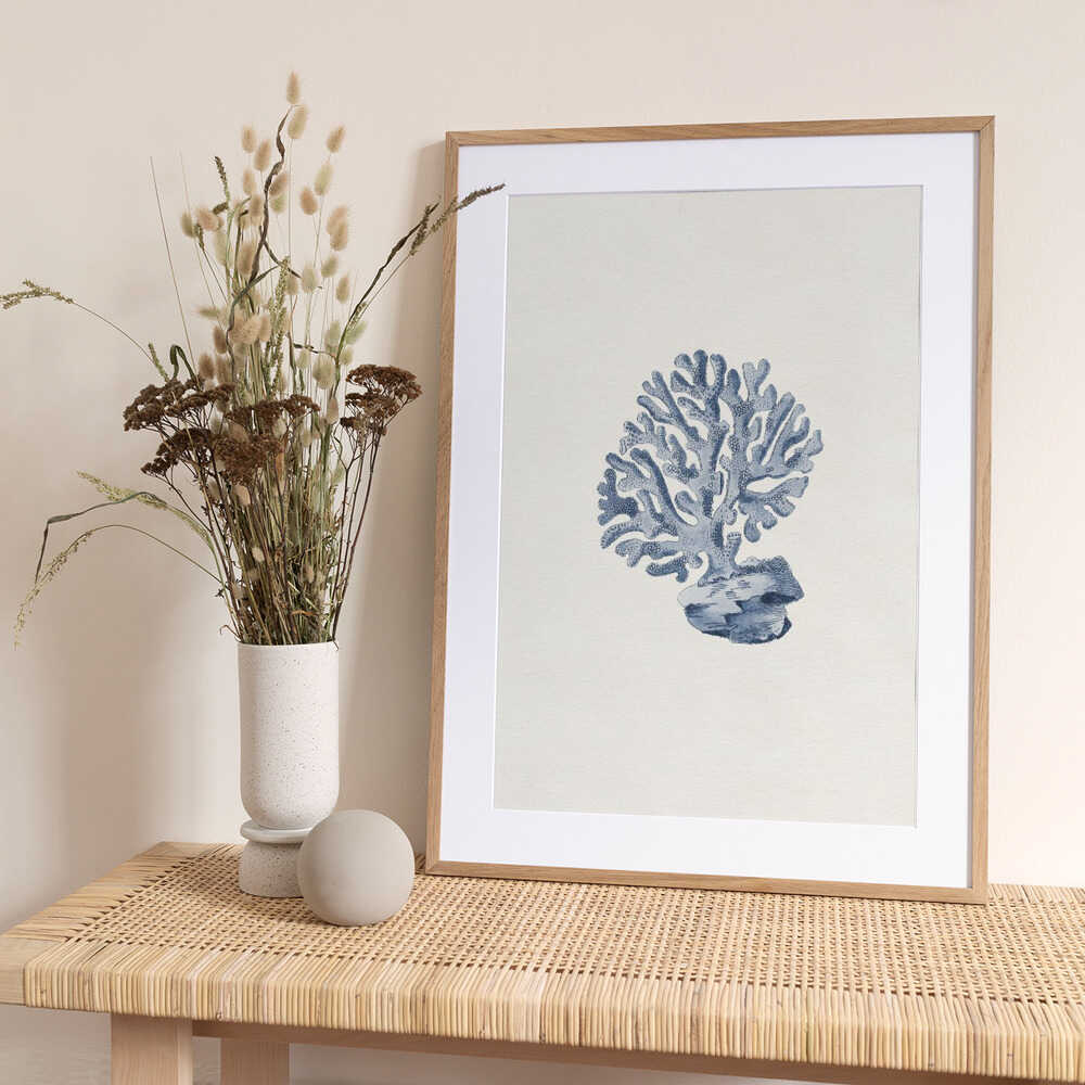 Marine Coral Study - Art Print by Wild Violets