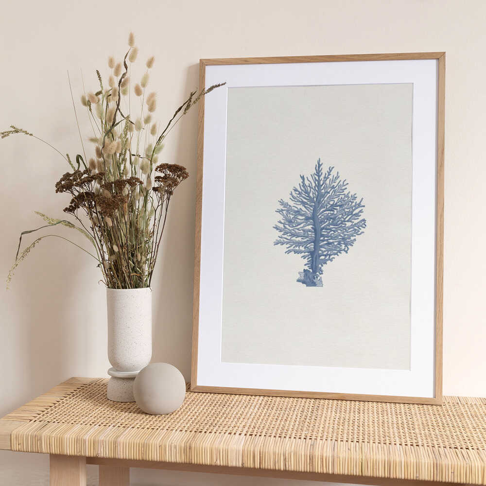 Delicate Blue Coral - Art Print by Wild Violets