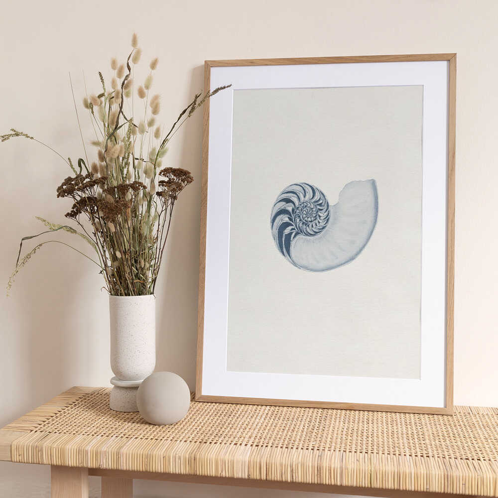 Blue Nautilus Spiral - Art Print by Wild Violets