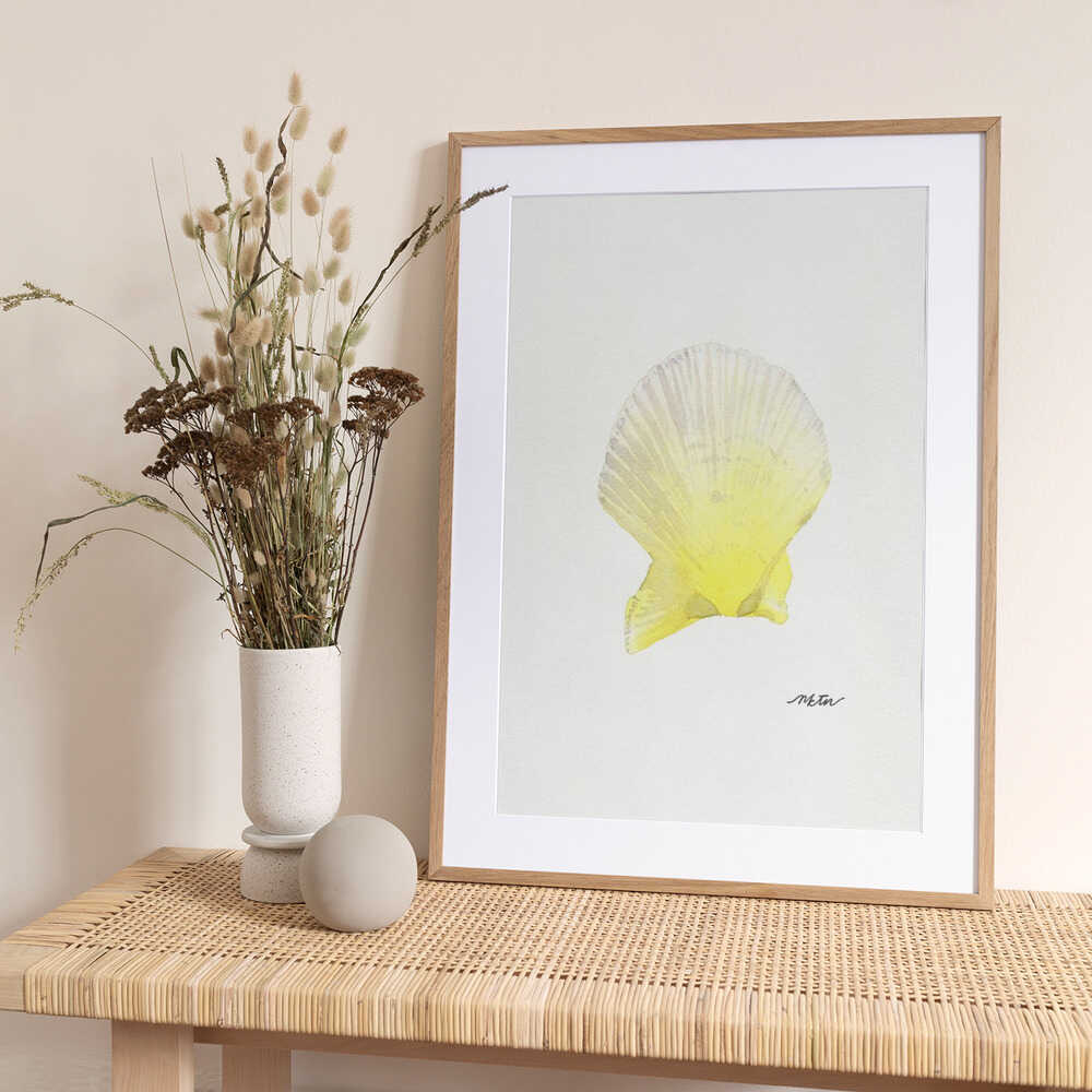 Sunny Scallop Shell - Art Print by NKTN