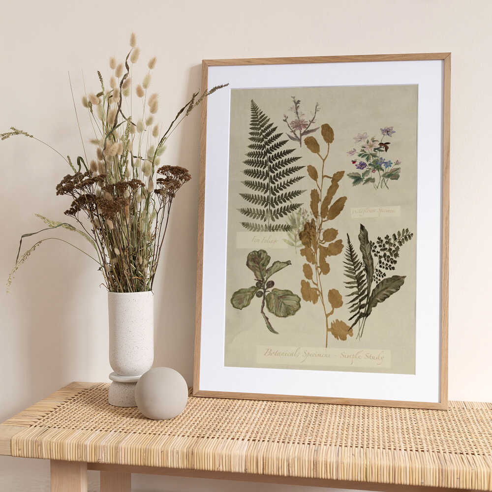Botanical Specimens Study - Art Print by cartissi