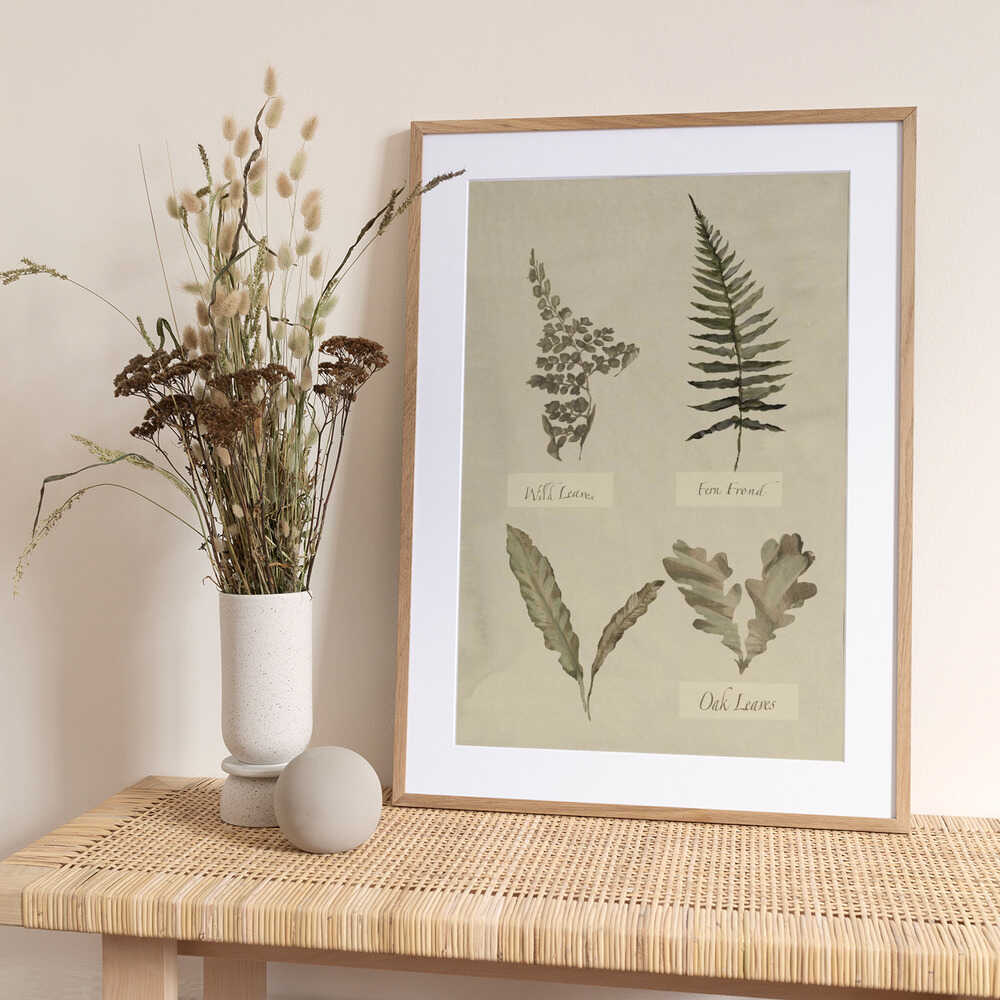 Botanical Leaf Study - Art Print by cartissi