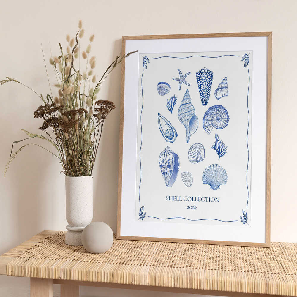 Coastal Shells Gathering - Art Print by Donaugh Austin