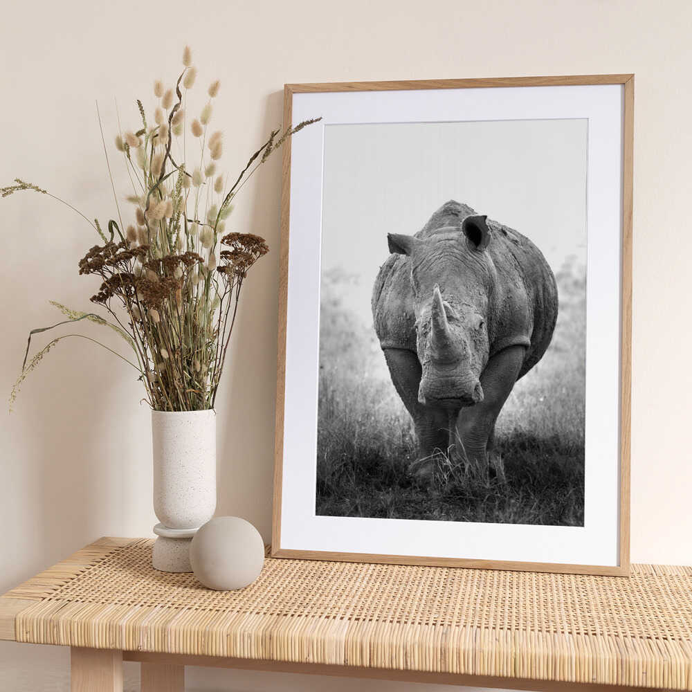Powerful Rhino Portrait - Art Print by Benjamin Saunders