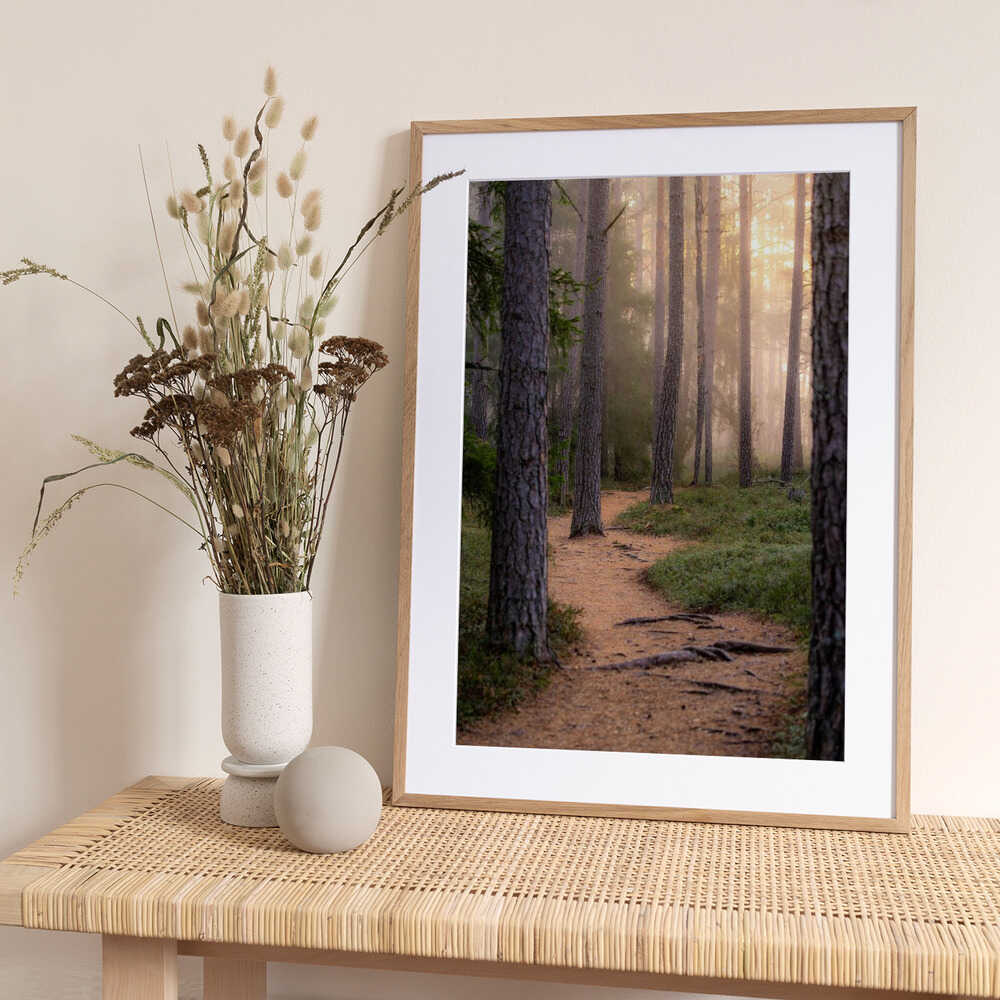 Misty Forest Path - Art Print by Julien Pröpper