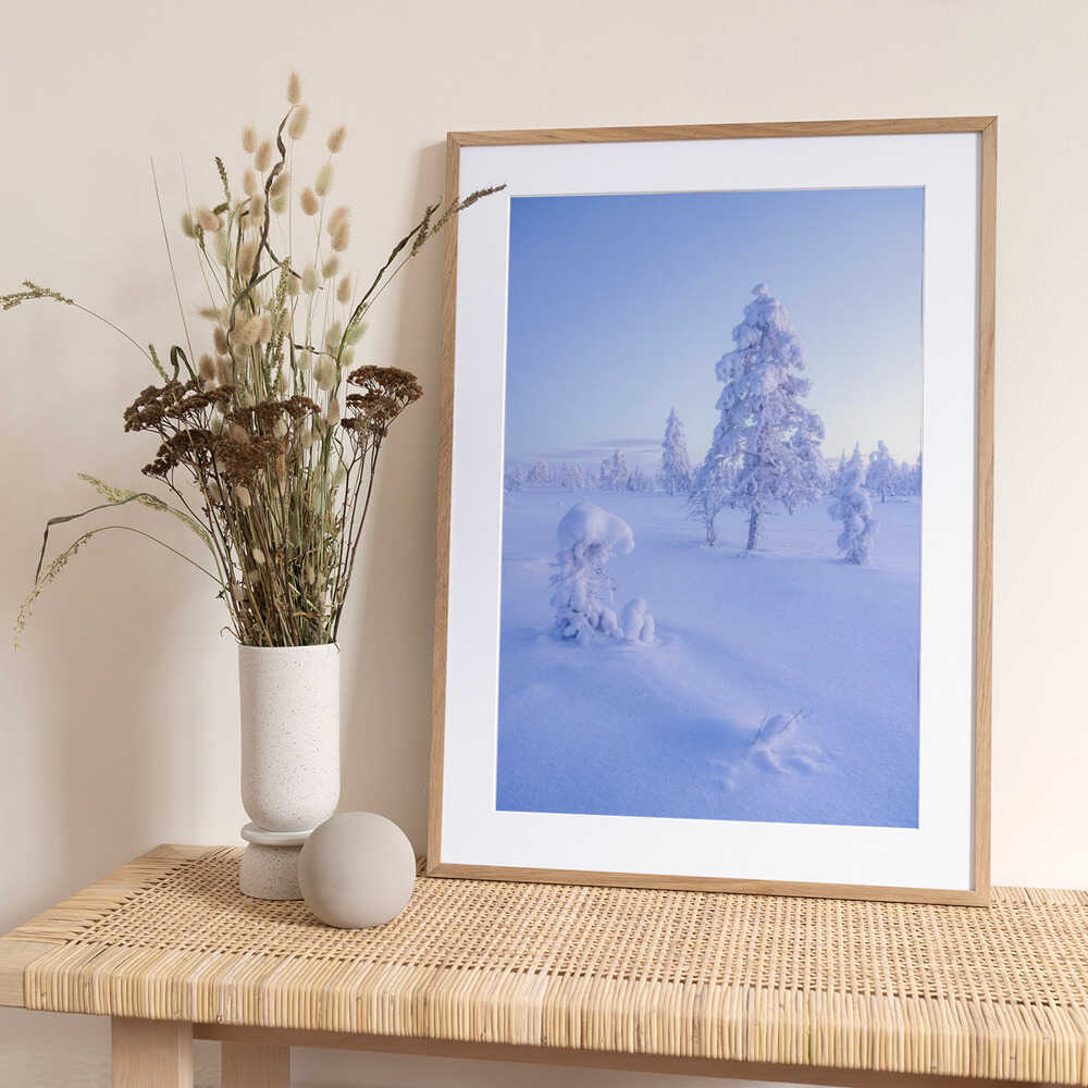Ethereal Winter Morning - Art Print by Julien Pröpper