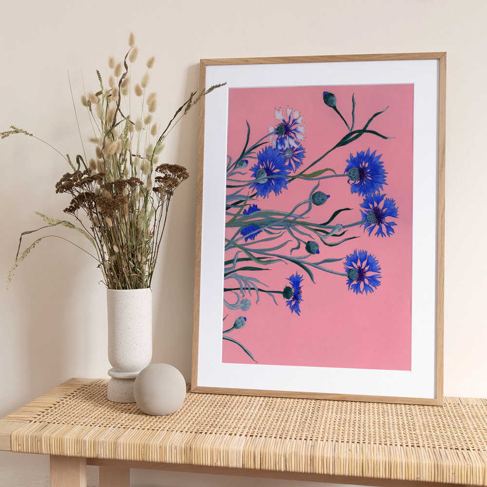 Blue Cornflowers on Pink - Art Print by Viktoriia Saunina
