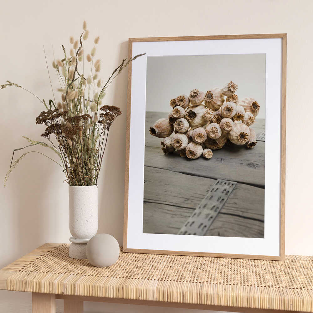 Rustic Poppy Pods - Art Print by Mayra Pama