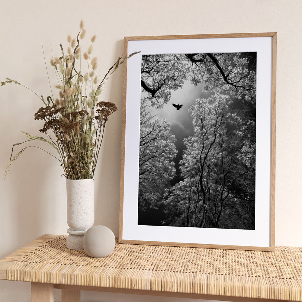 Flight - Art Print by Goran Stamenkovic