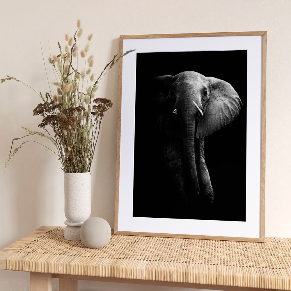 Elephant! - Art Print by WildPhotoArt
