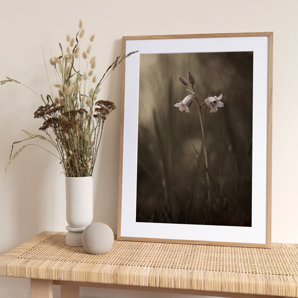 A small flower on the ground - Art Print by Allan Wallberg