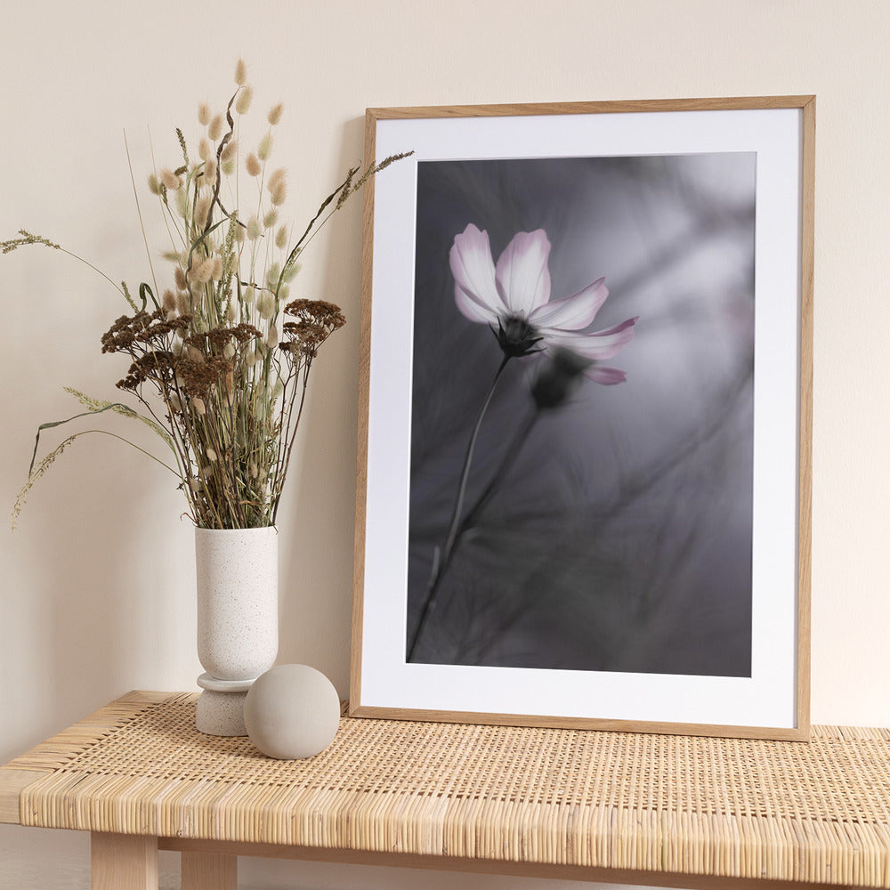 Cosmos - Art Print by Hideto Morimatsu