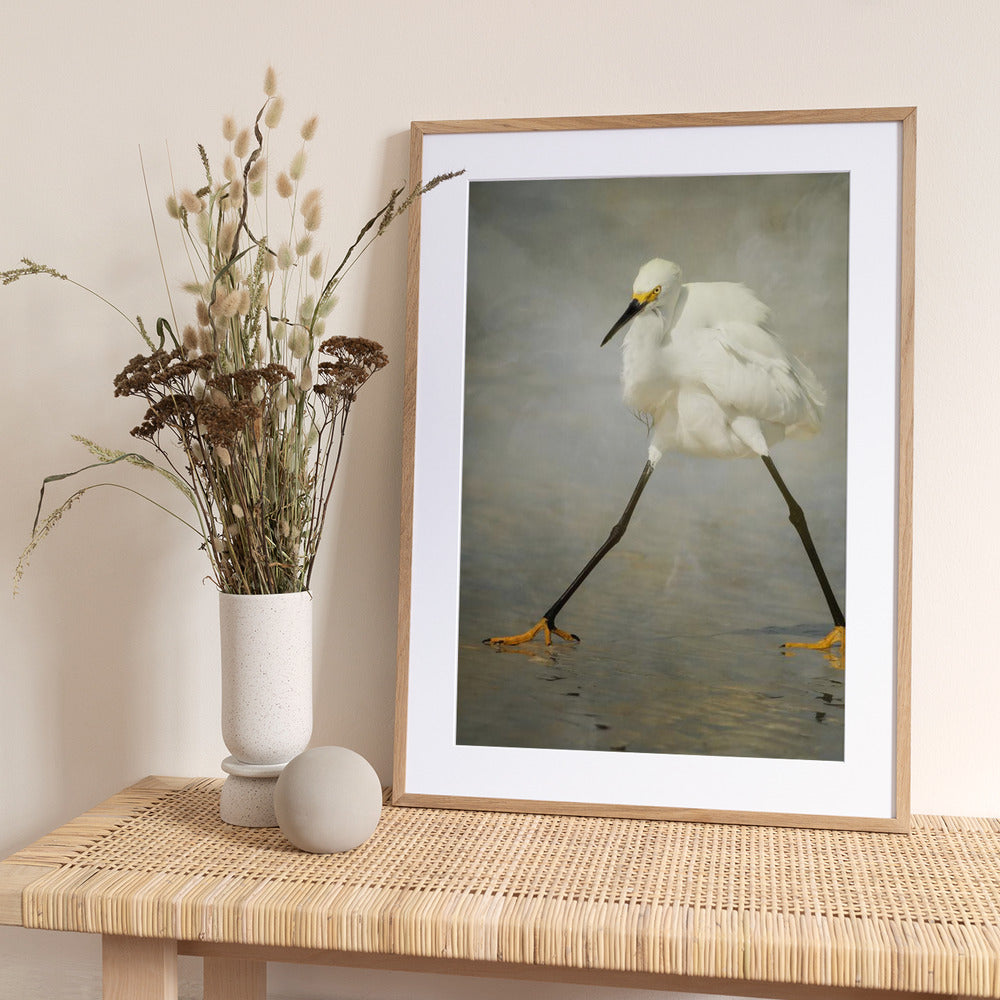 The Rock Star - Art Print by Alfred Forns