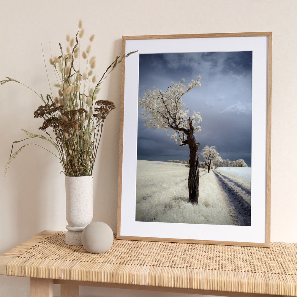 IRenka - Art Print by Piotr Krol (Bax)