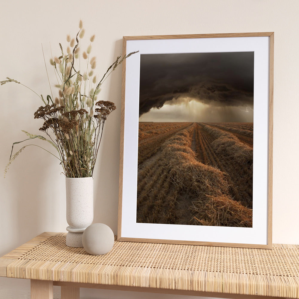 Untitled - Art Print by Nicolas Schumacher