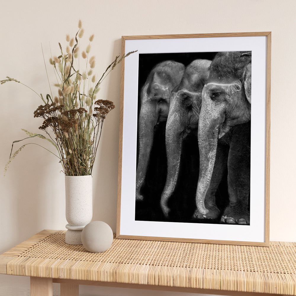 Nature's great masterpiece, an elephant - Art Print by Yvette Depaepe