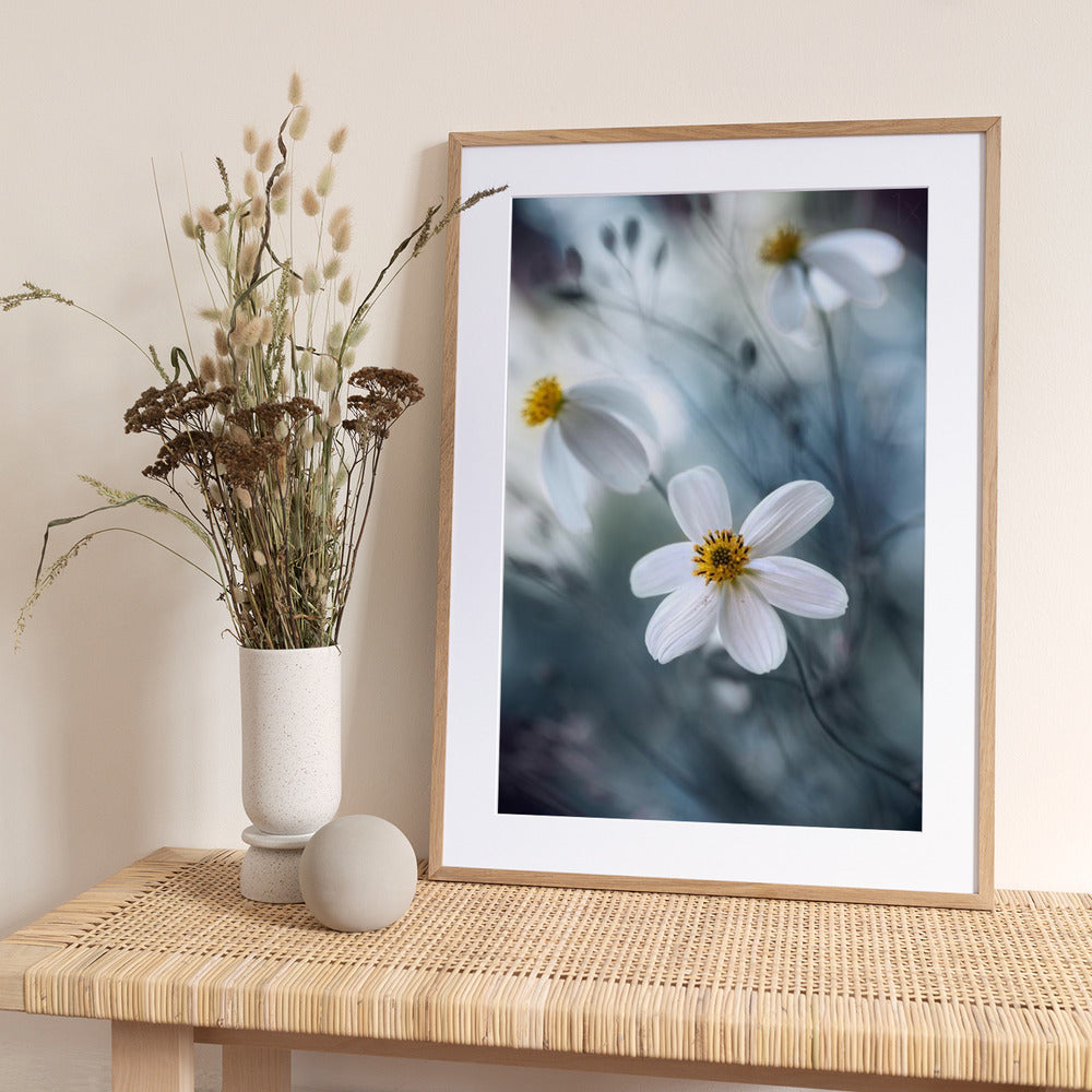 Cosmos - Art Print by Mandy Disher