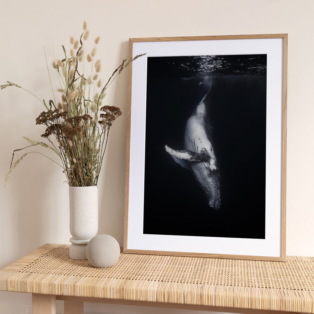 Black Whale - Art Print by Barathieu Gabriel