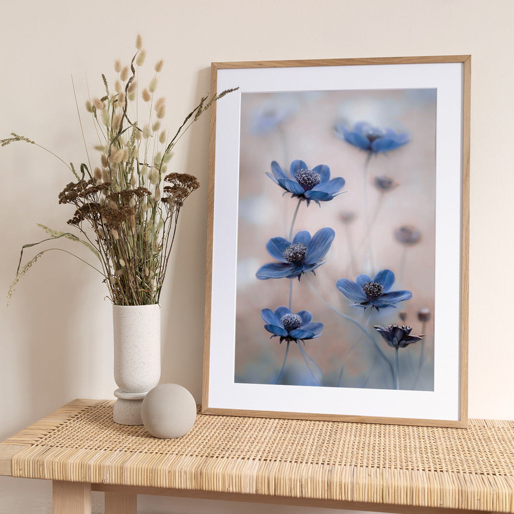 Cosmos blue - Art Print by Mandy Disher