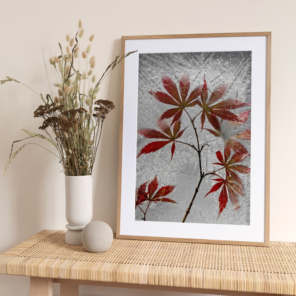 red maple - Art Print by Secundino Losada