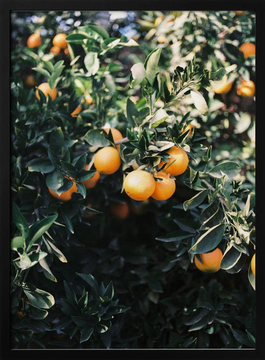 Marrakesh Oranges - Art Print by Raisa Zwart