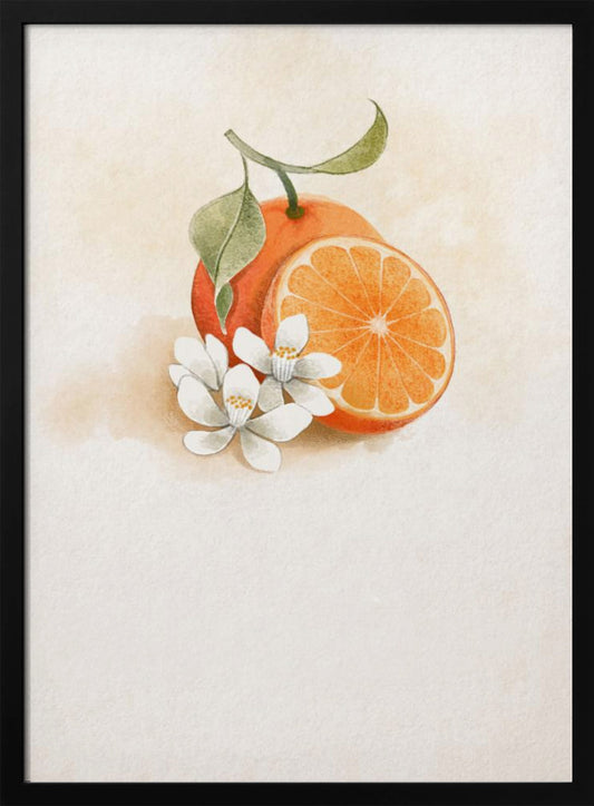 Juicy Orange - Art Print by Xuan Thai