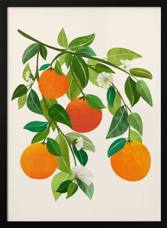 Oranges and Blossoms Ii - Art Print by Kristian Gallagher