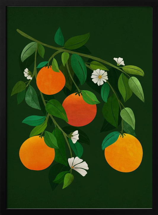 Oranges and Blossoms Night - Art Print by Kristian Gallagher