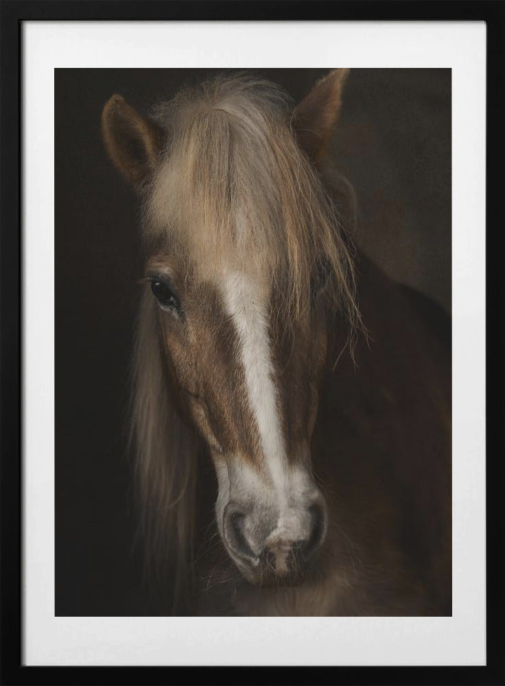 Sapience - Art Print by Martine Benezech