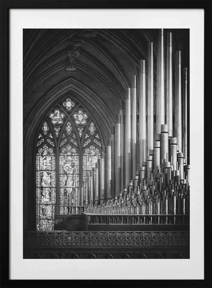 Ranks - Photo Art Print by Christopher Budny