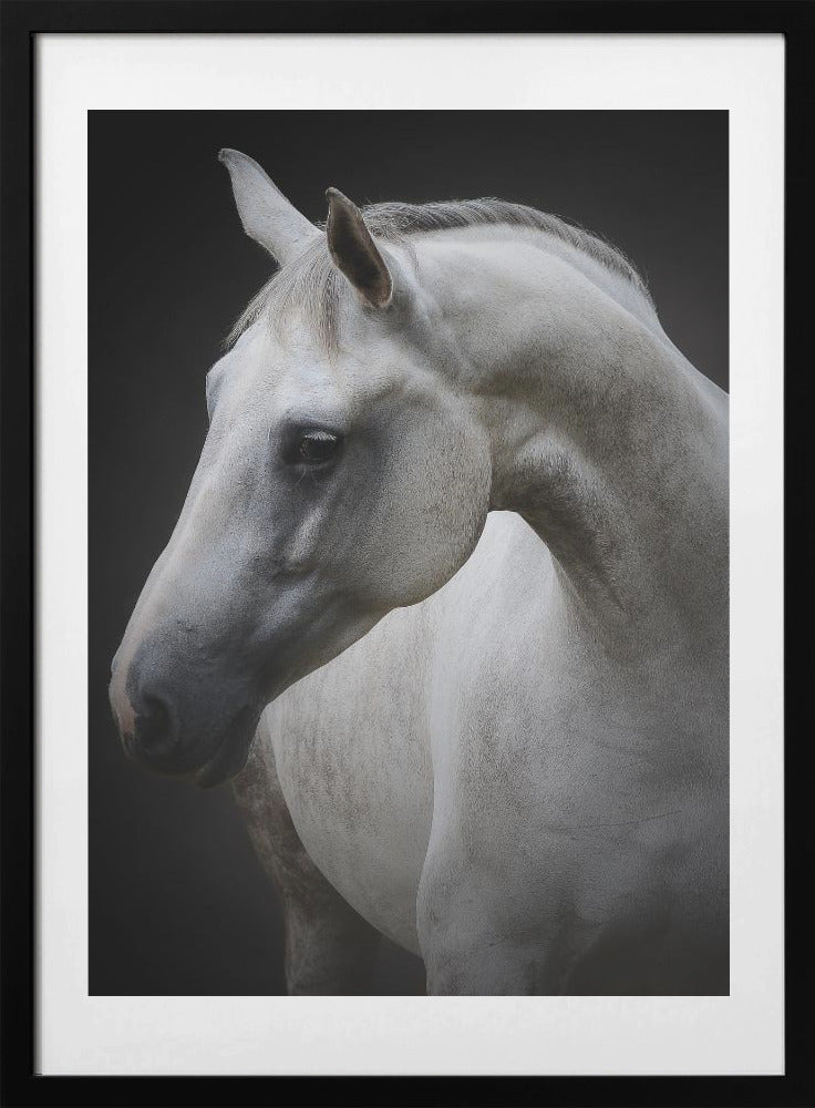 Maggie - Art Print by Avishai Avivi