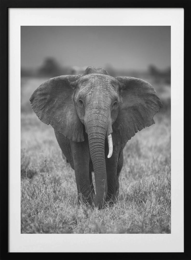 SINGULARITY - Art Print by Jaco Marx