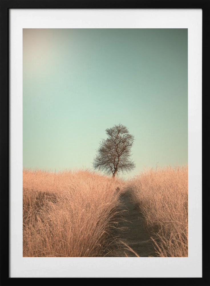 Grass and Path - Art Print by Jaap van den Helm
